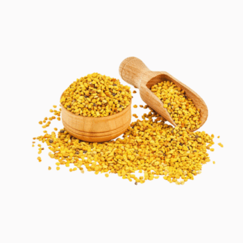 حبوب اللقاح